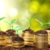 La difícil tarea de divisar brotes verdes