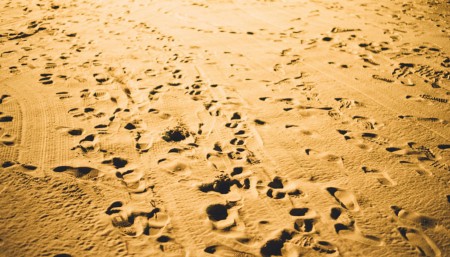 Imagen por chuttersnap en Unsplash