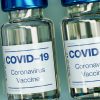 Covid y vacunas: qué podemos esperar en 2021